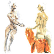Studies