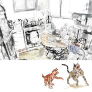 Studies