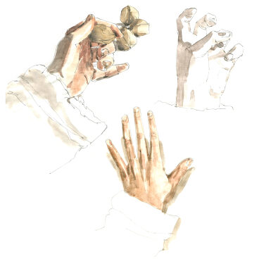 Studies